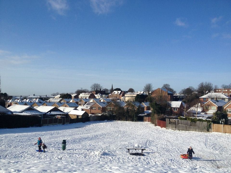 Photograph of Snow on South Avenue Park