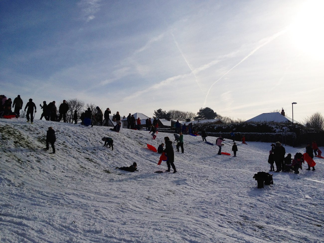 Photograph of Families sledging on South Avenue Park