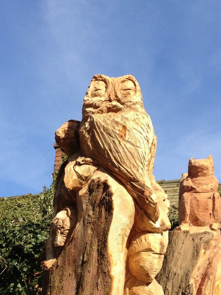 Photograph of Sensory Garden tree carving - close up 3