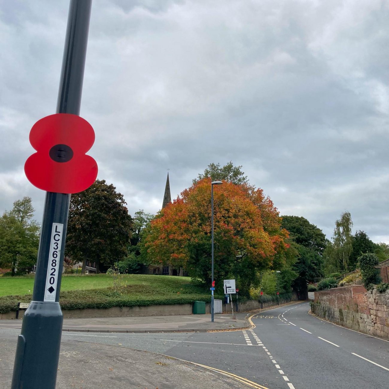 Photograph of Remembrance poppies on Lodge Lane