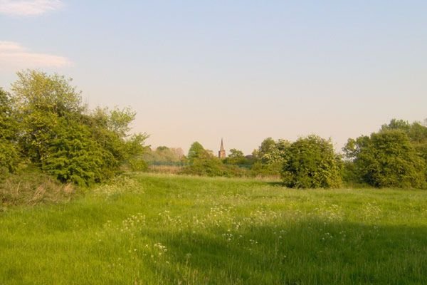 Photograph of View of St Werburgh's spire from the West Meadows LNR