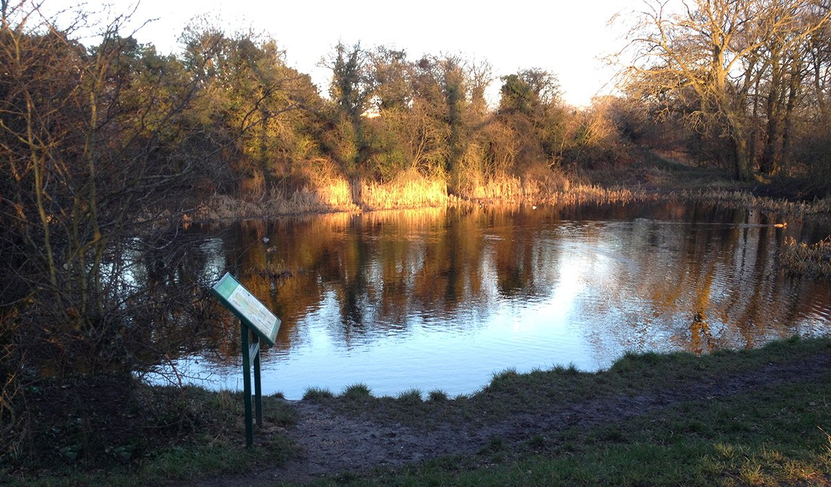 Photograph of West Park Meadows pond